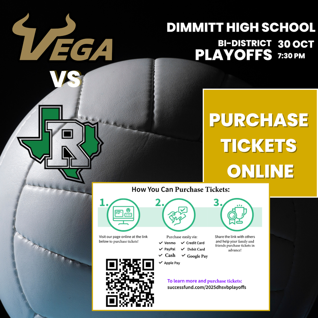 Lady Horn VB Bi -District Playoff Game