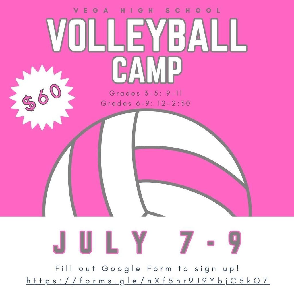 Summer Volleyball Camp