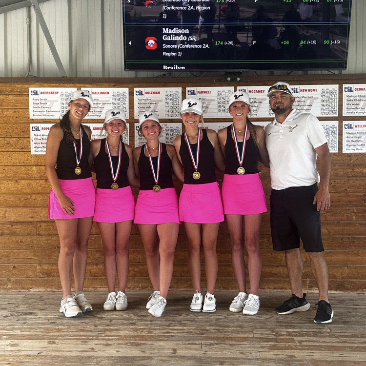 Lady Longhorns- headed to state!!