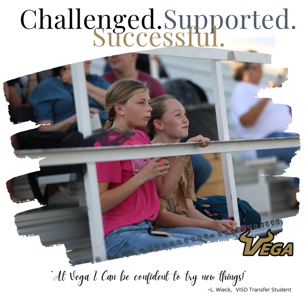 Challenged. Supported.  Successful