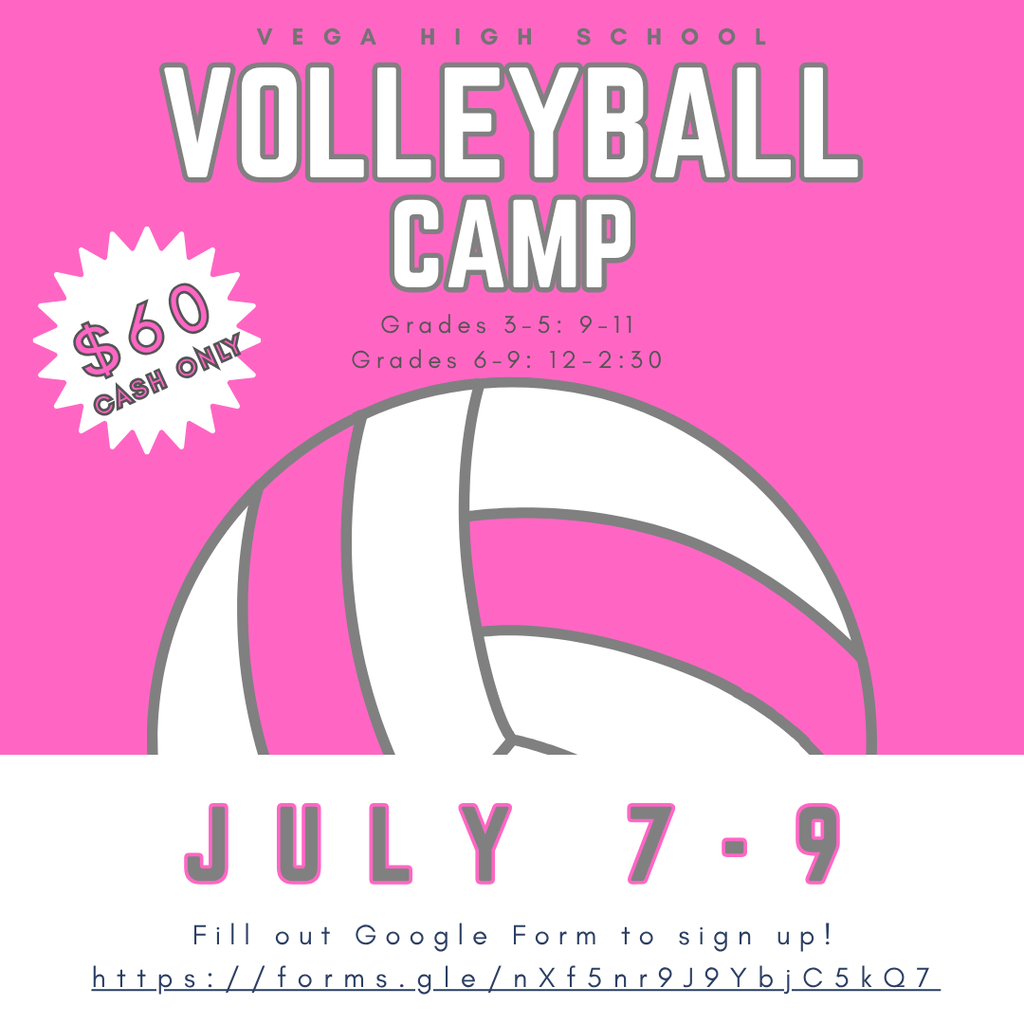 Summer Volleyball Camp