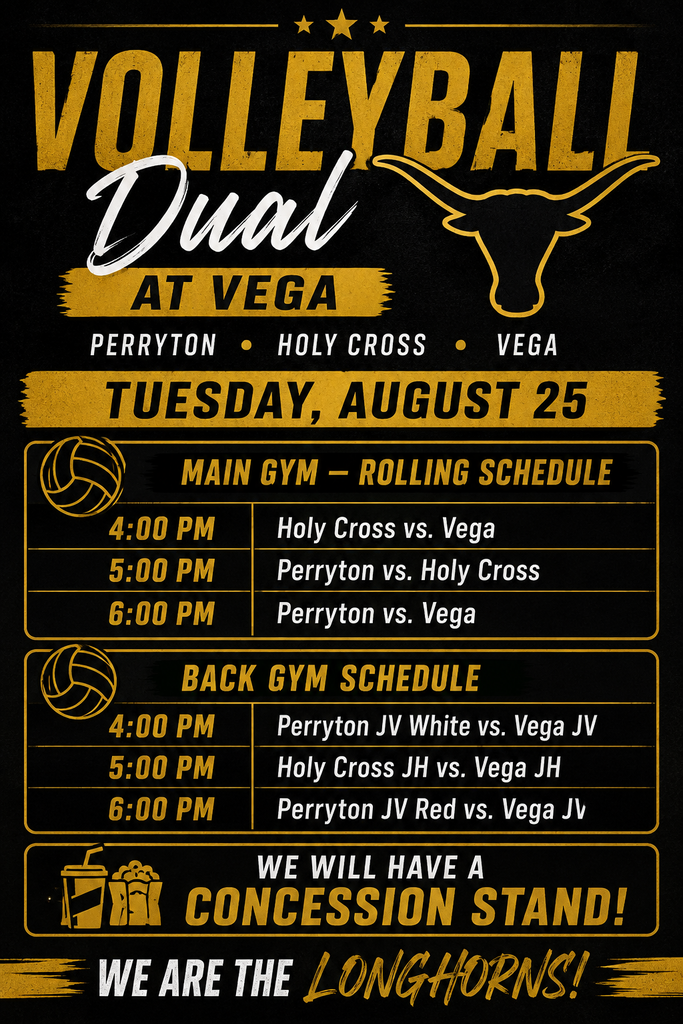 VB Dual