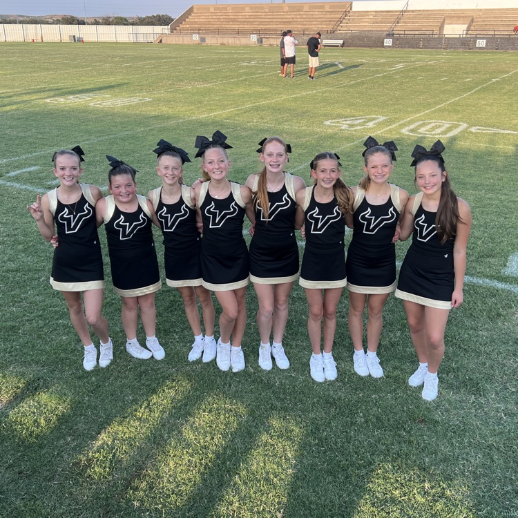 vega JH cheer
