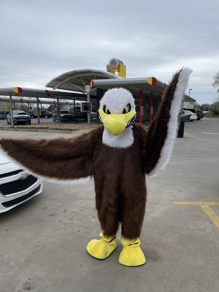 eddy at sonic