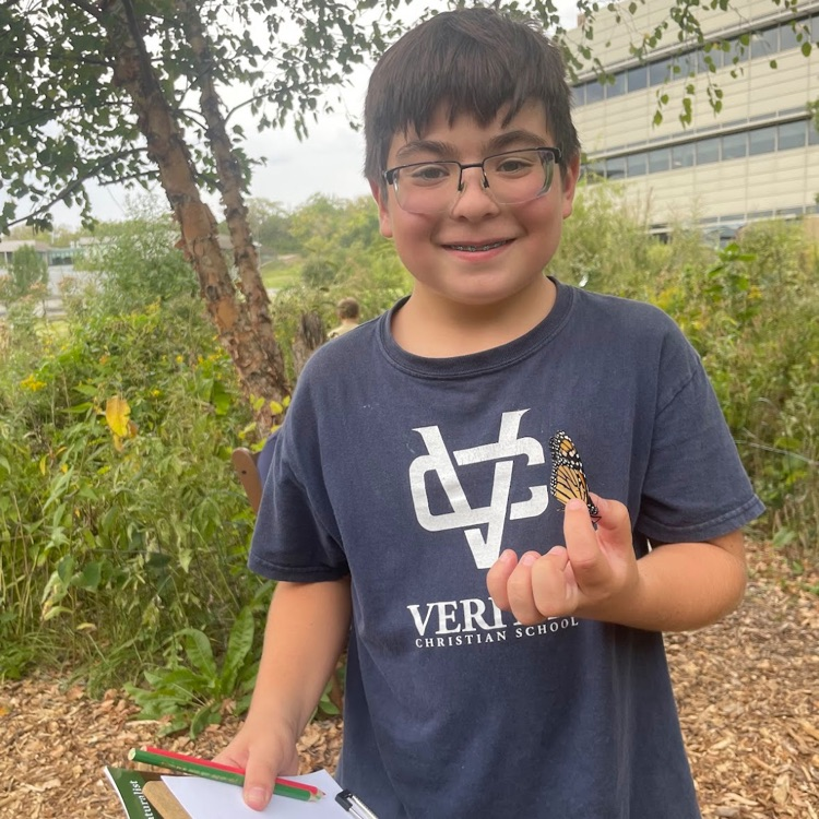 butterfly gardens