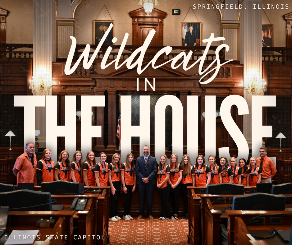 Wildcats in the House