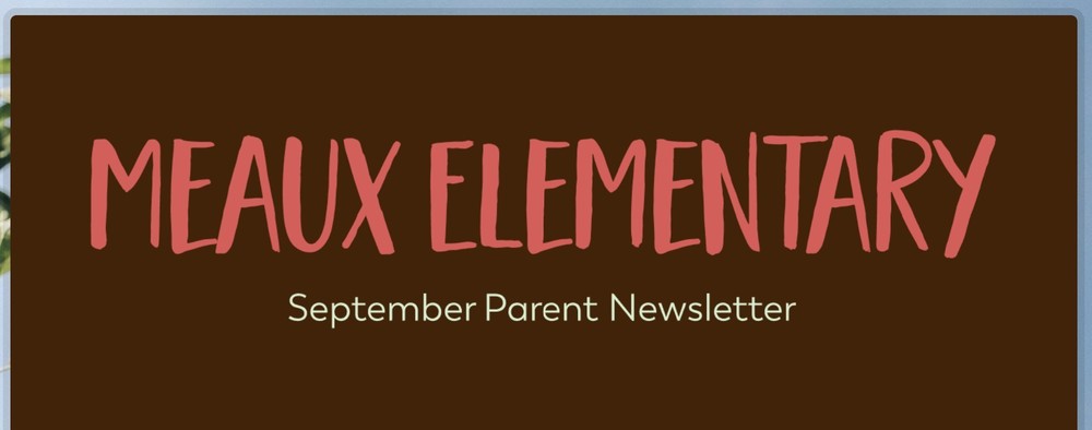 Newsletter