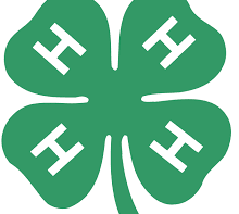 4H meetns