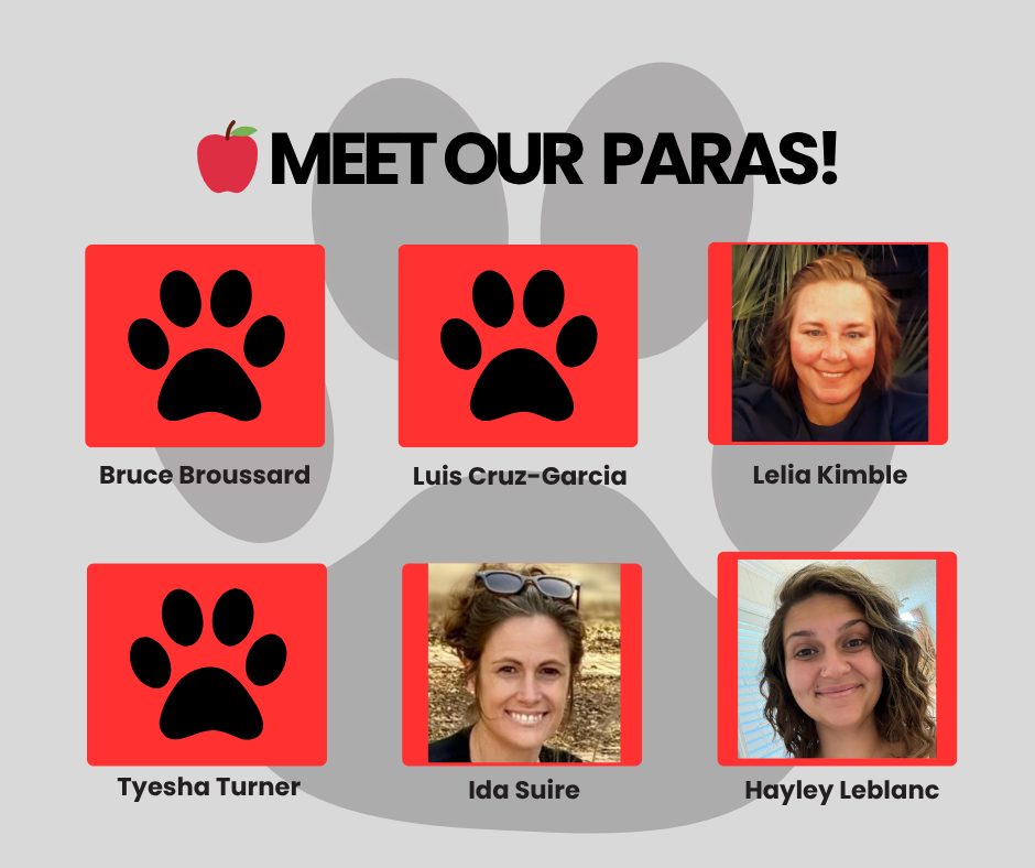 Meet our Paras