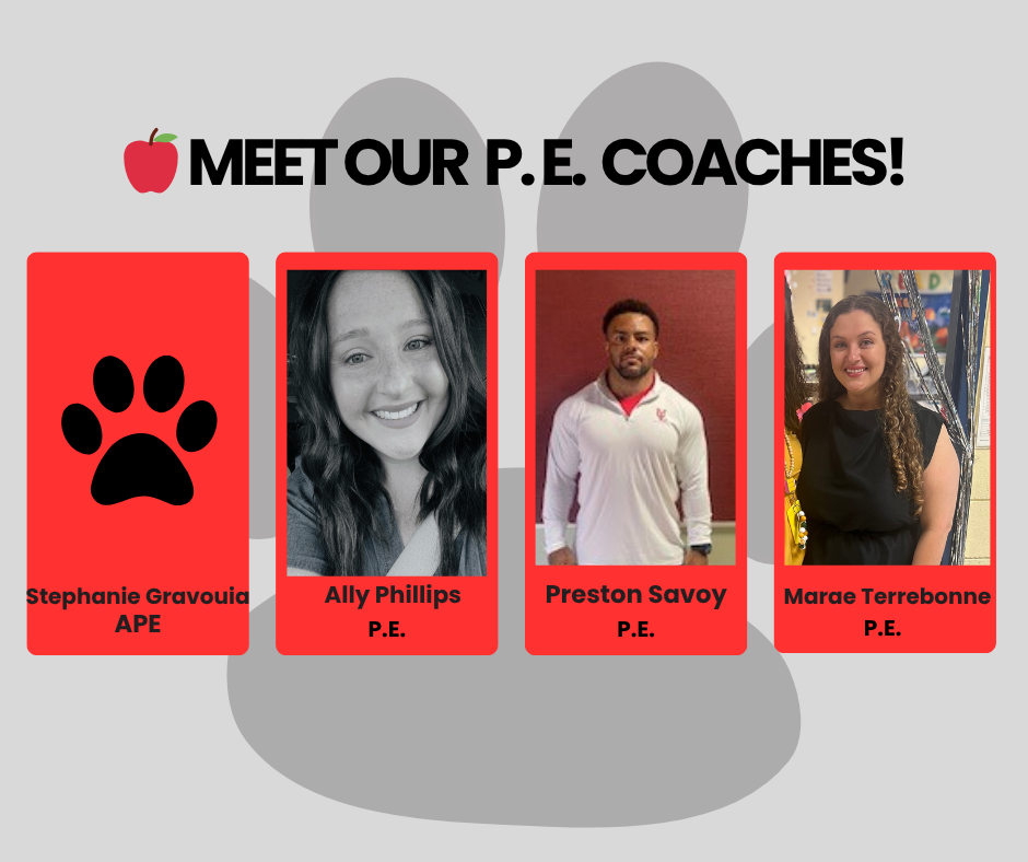 Meet Our PE coaches