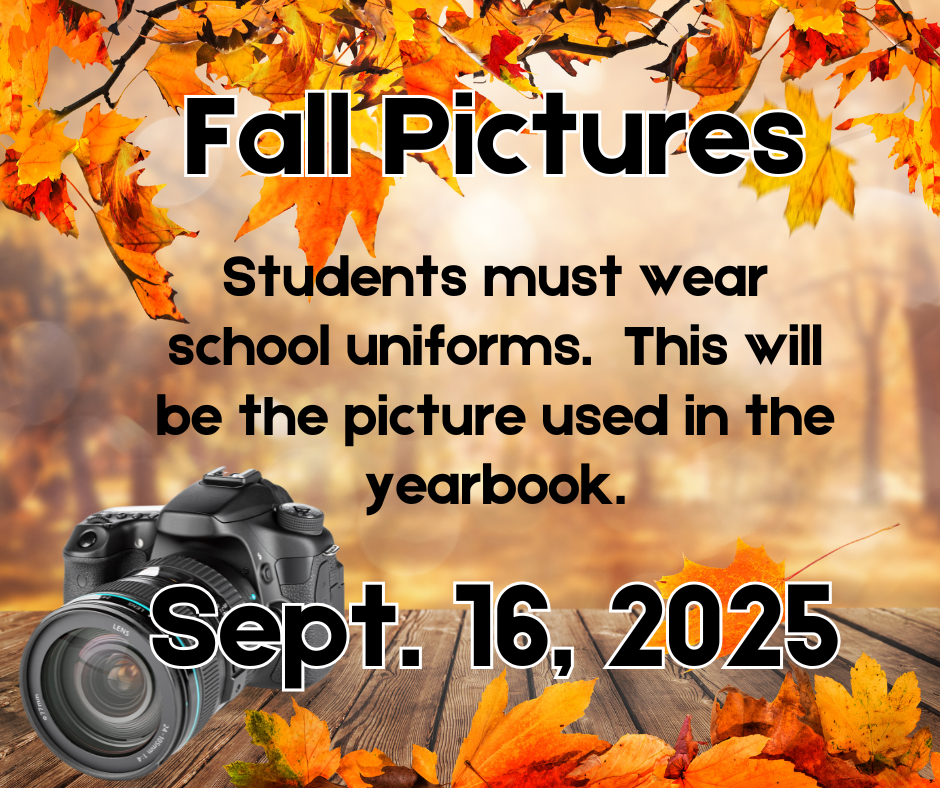 pictures