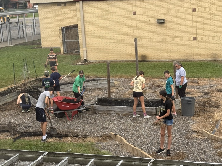 school garden