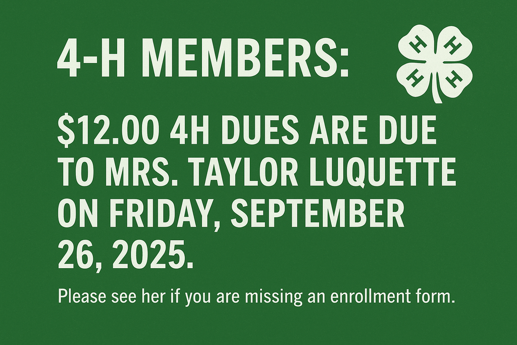 4H flyer
