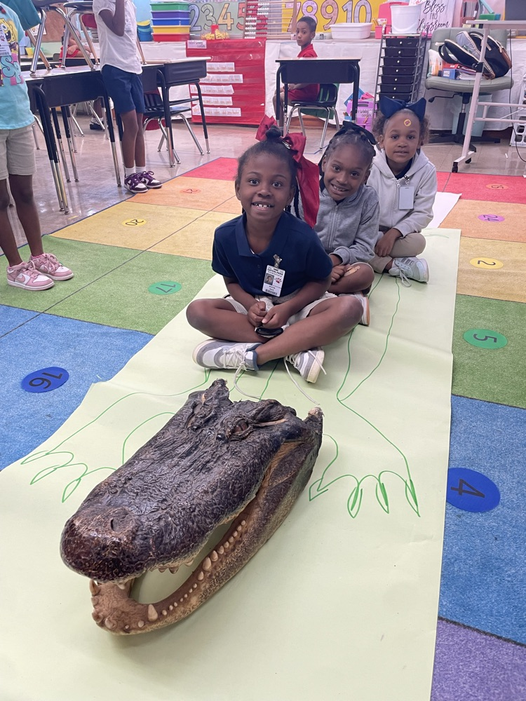 gator