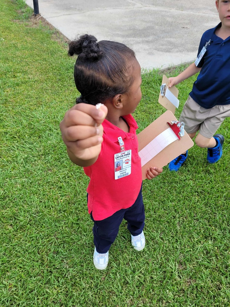 Prek