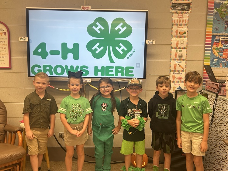 4-H 1