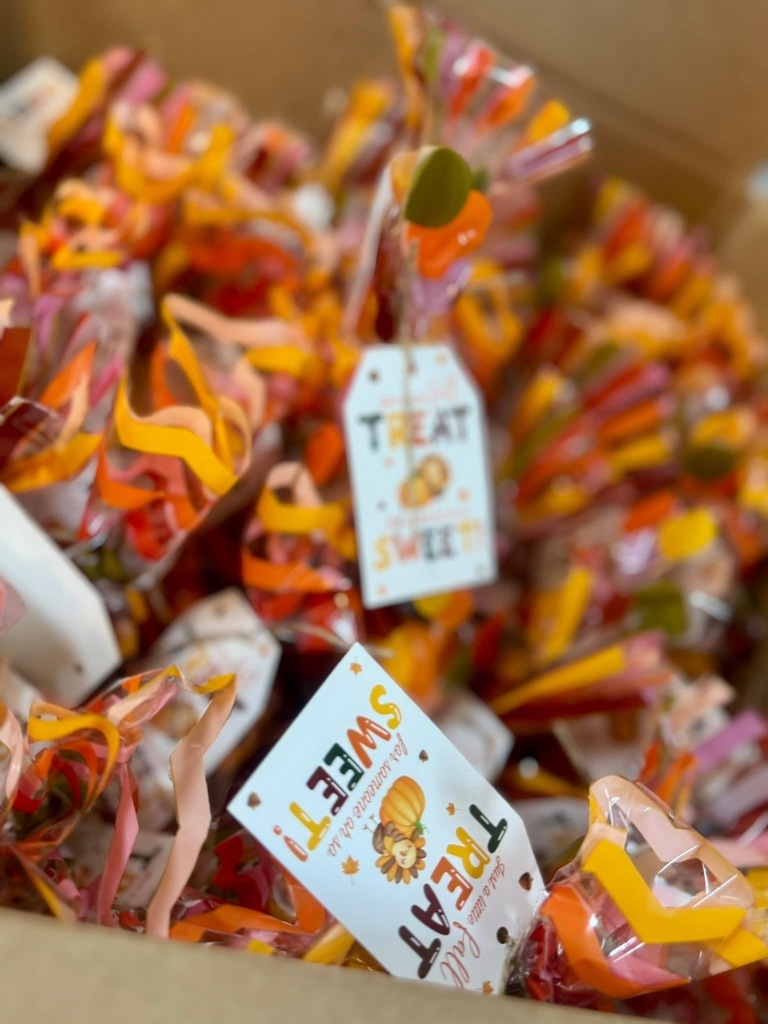 VHC Fieldtrip November