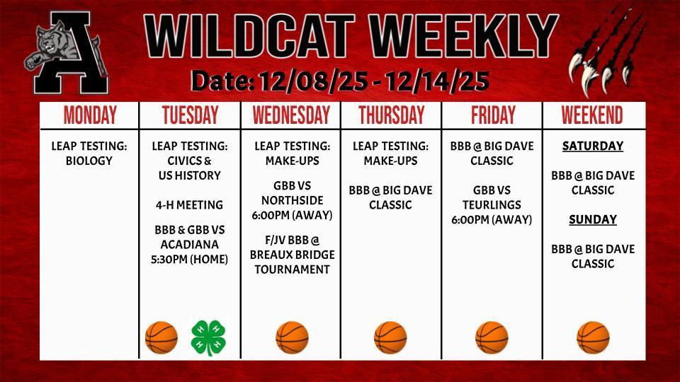 Wildcat Weekly 12/8/25