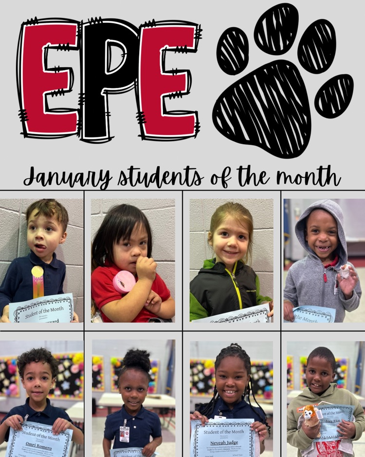 wildcats of the month