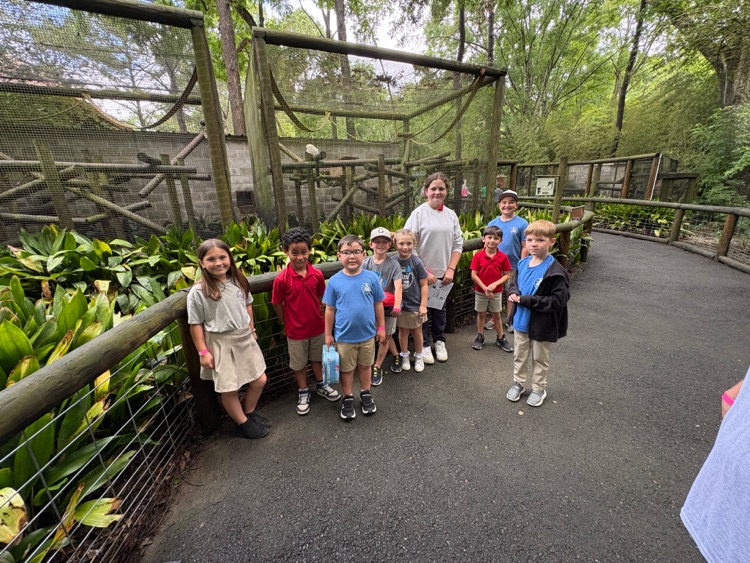zoo 1