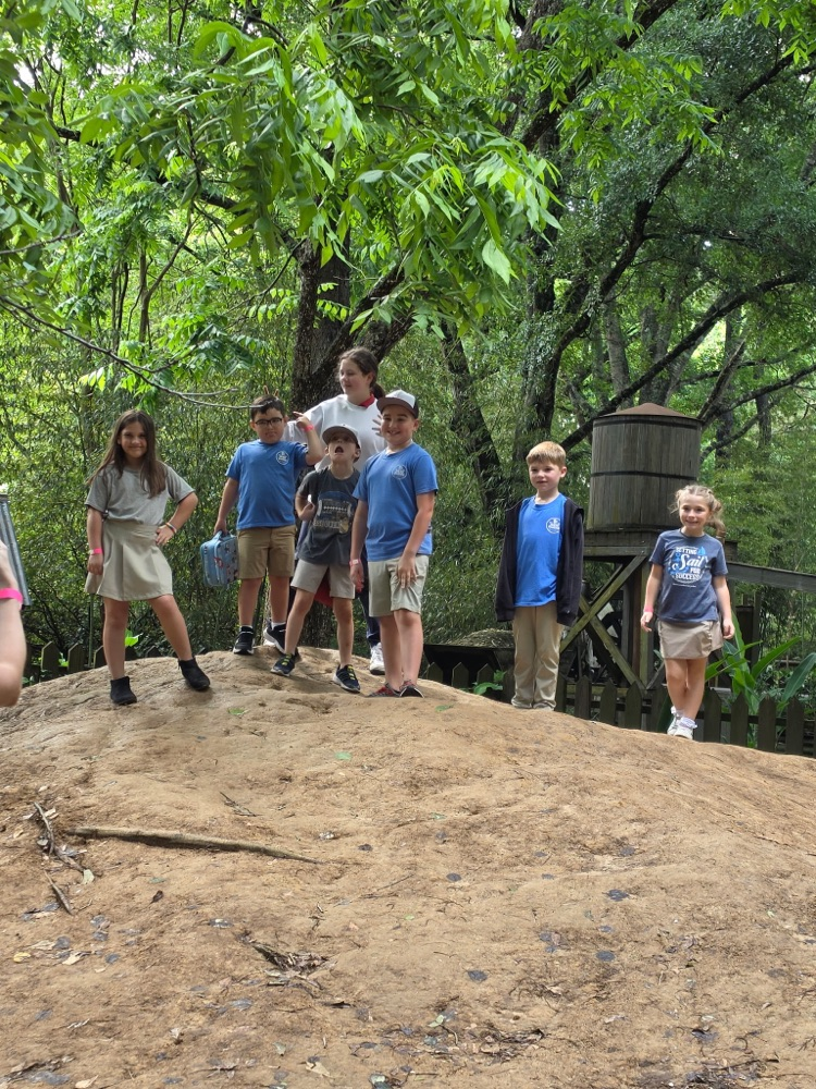 zoo 2