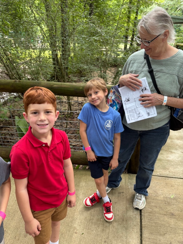 zoo 4