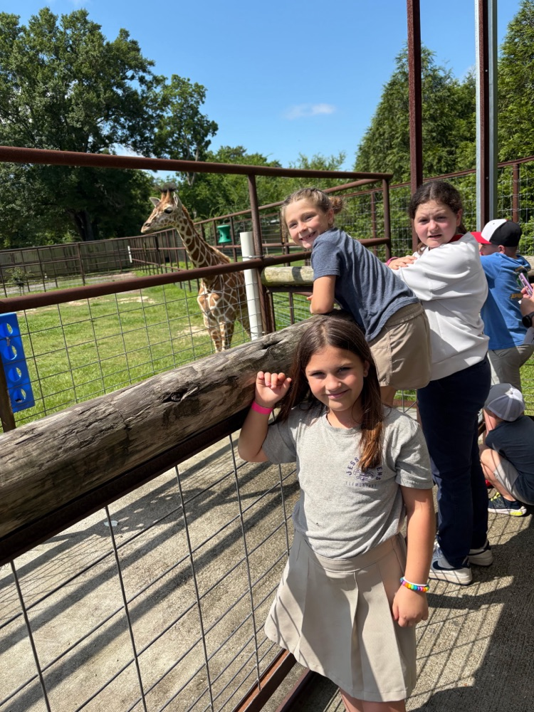 zoo 6