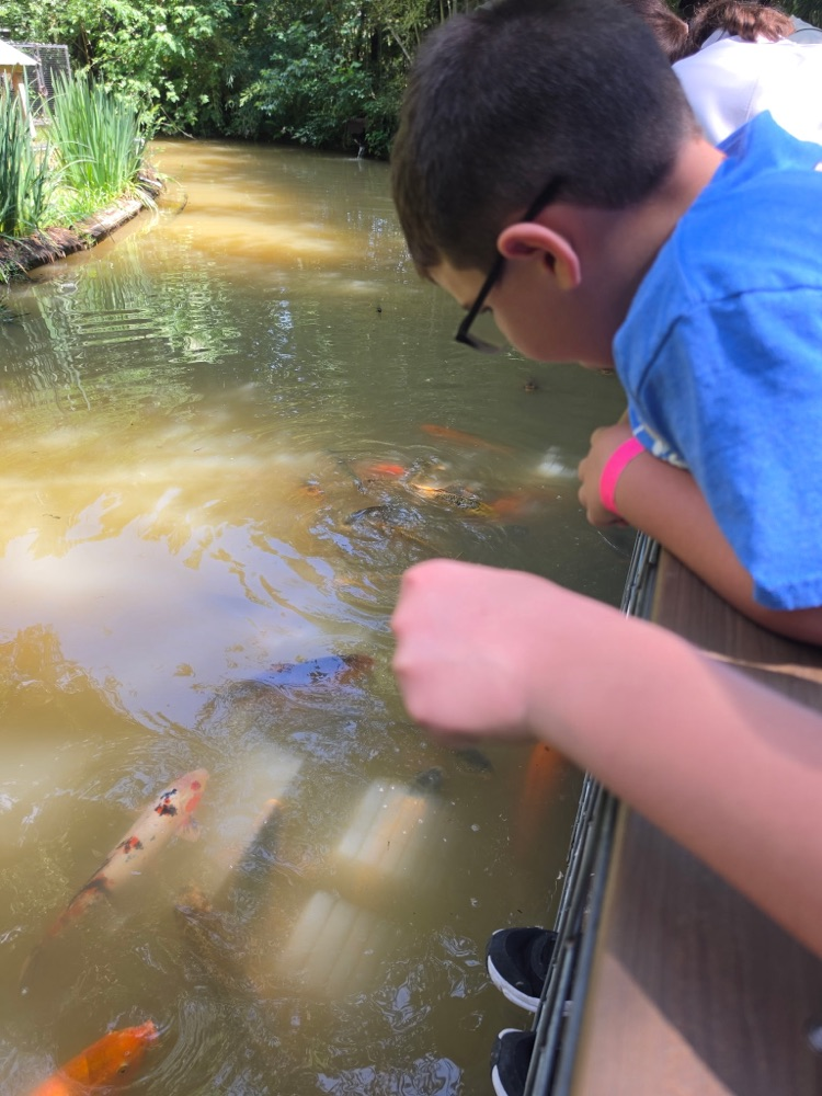 zoo 7