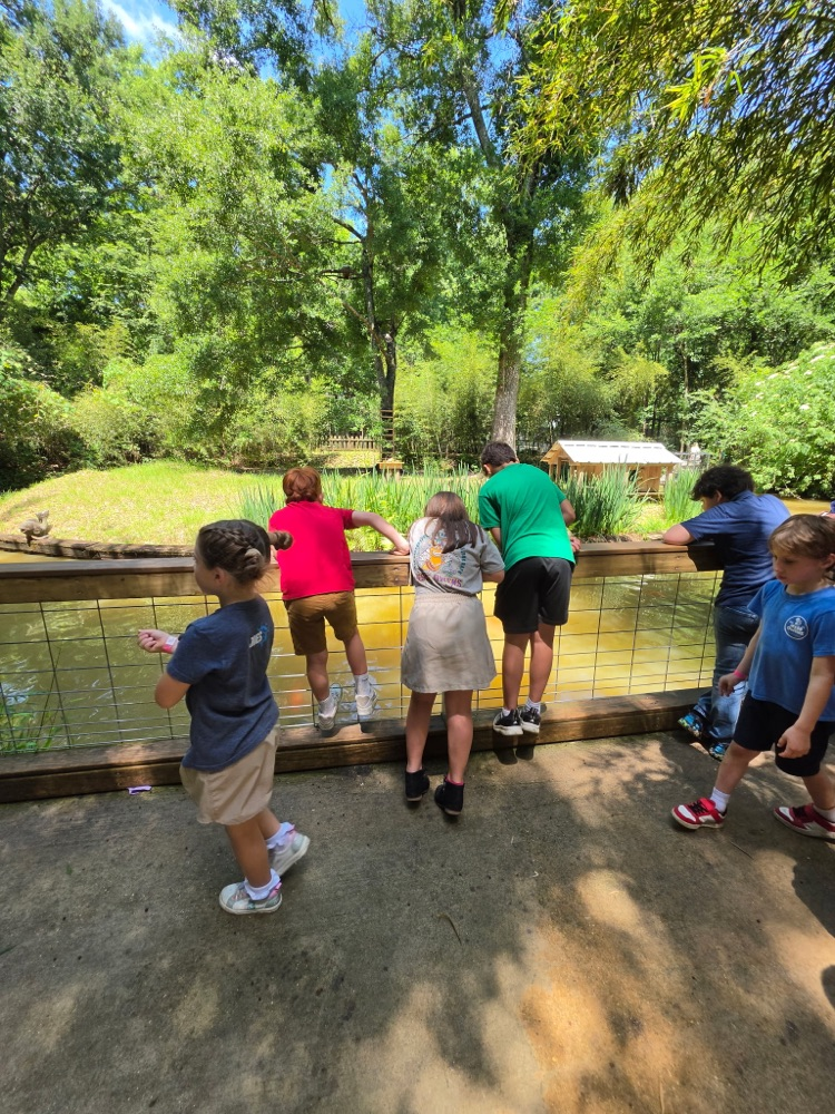 zoo 10