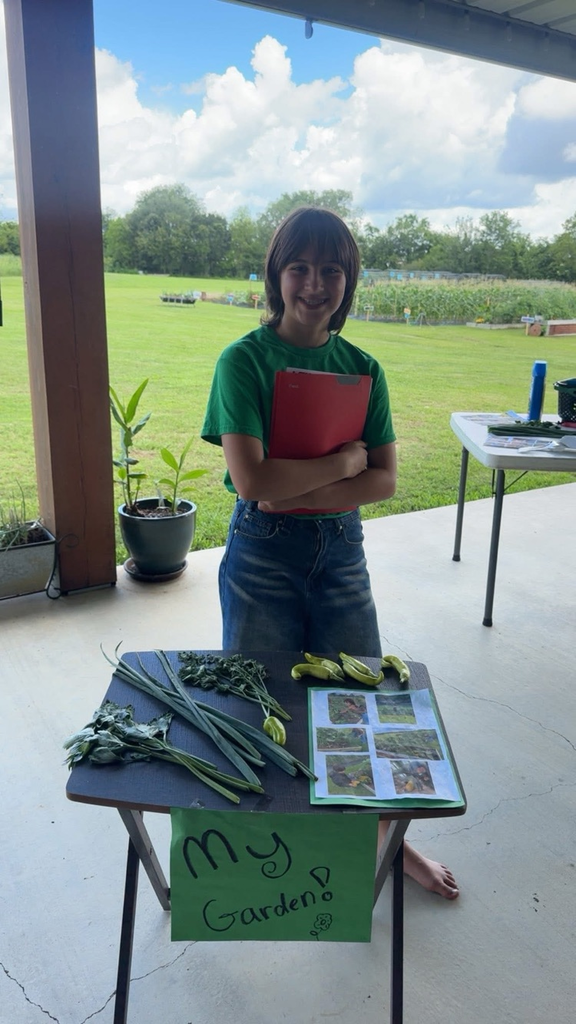 4-h
