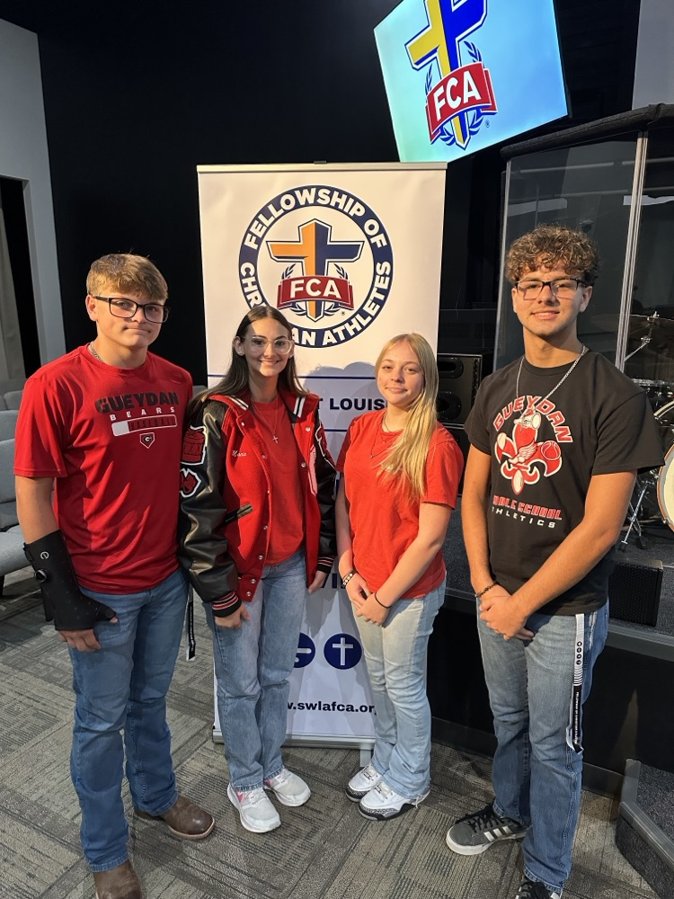 FCA 3