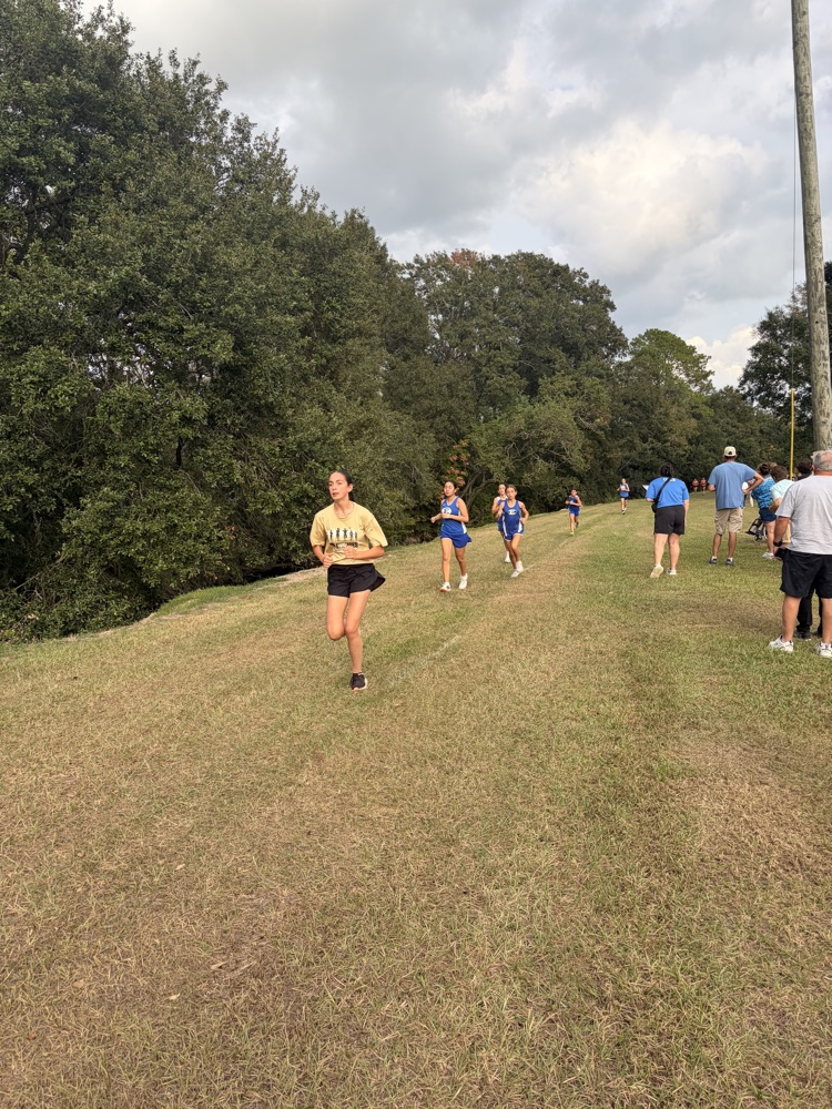 cross country 