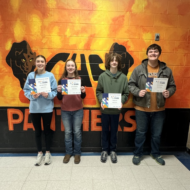 US Rank of 90th percentile to 96th percentile are Rising Scholars