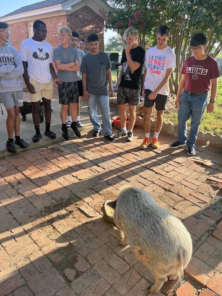 farm3