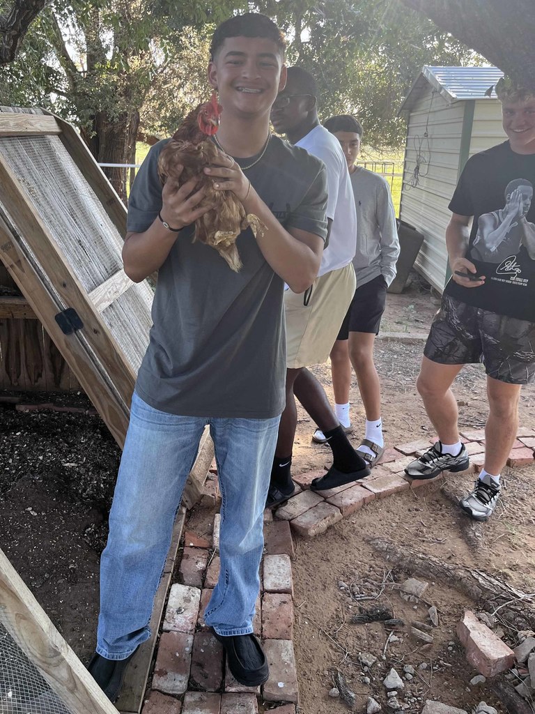 farm6