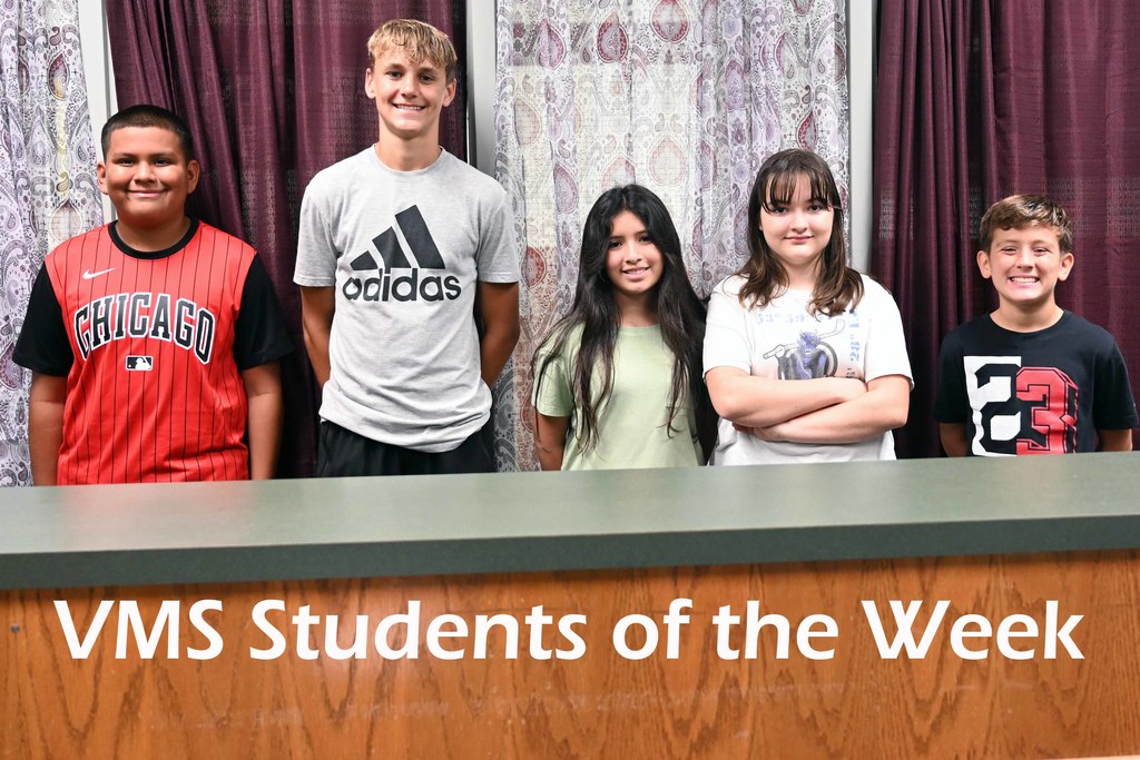vms sow week2