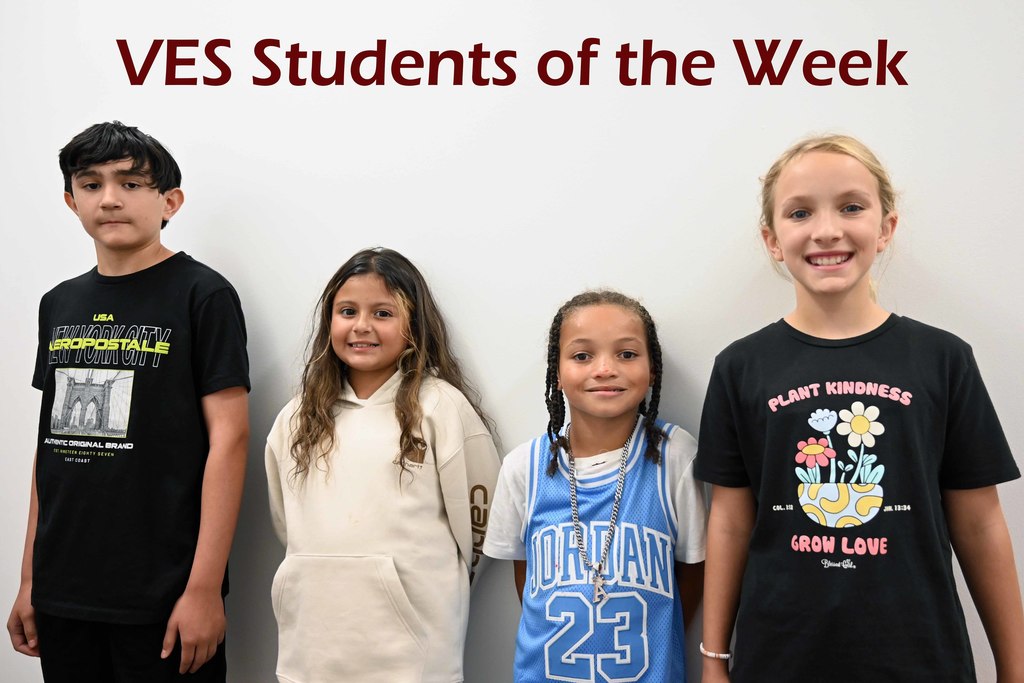 ves sow week2