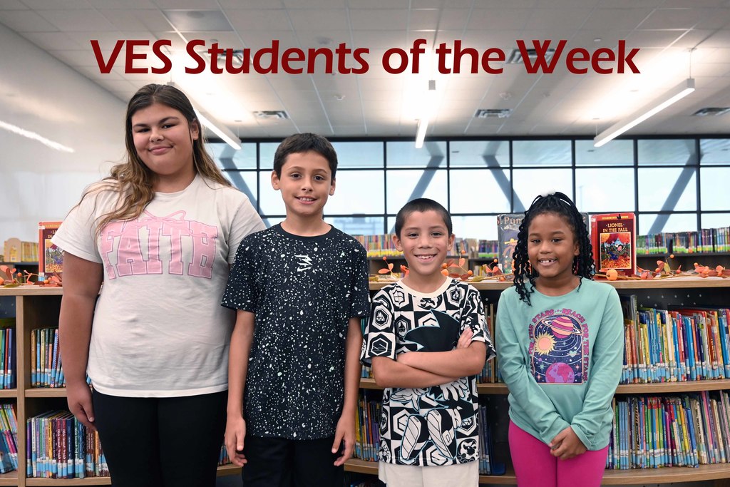 ves sow week3