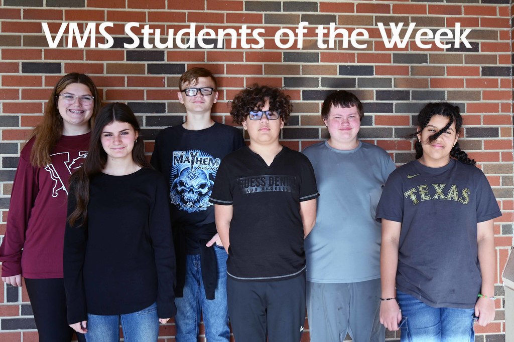 vms sow week 4
