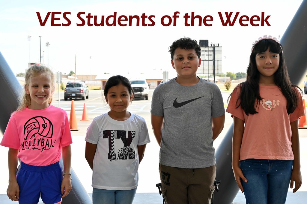 ves sow week 4