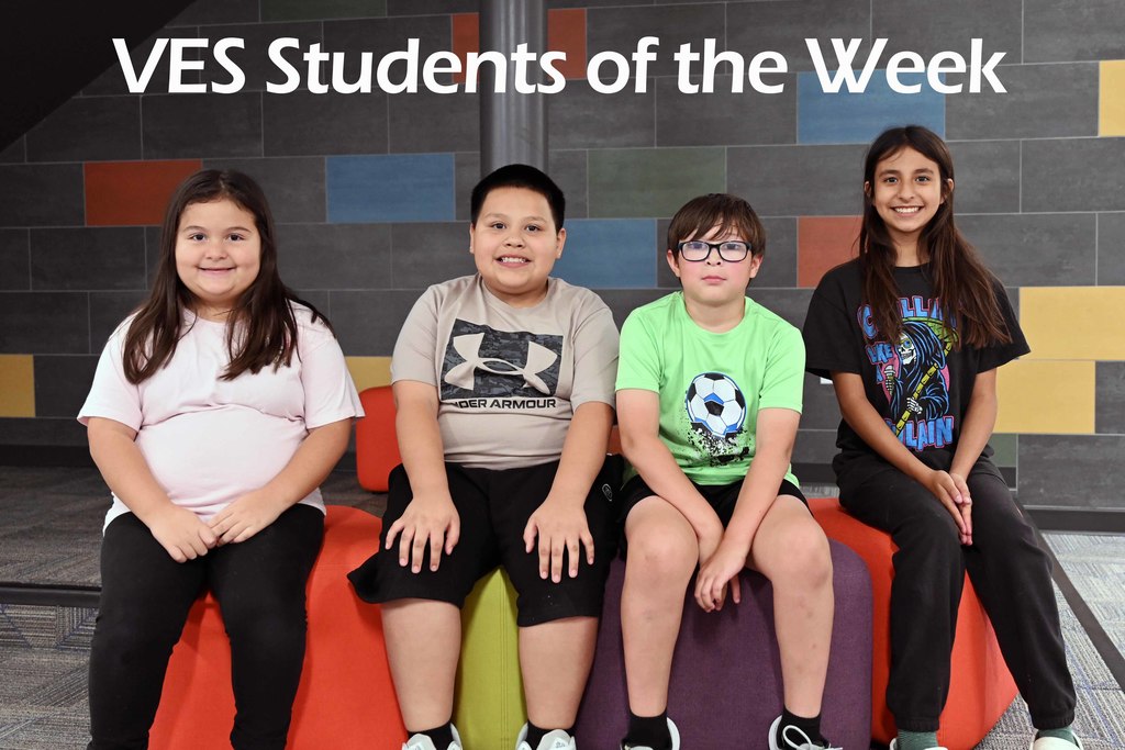 ves sow week6
