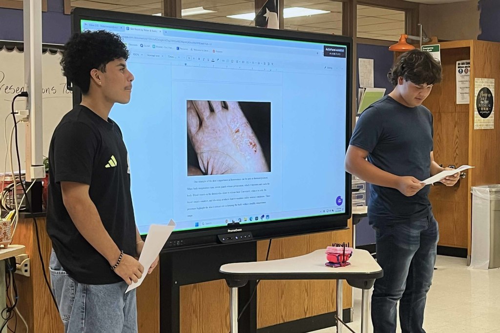 anatomy5