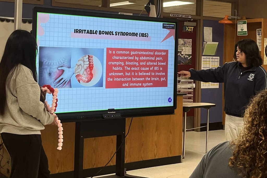 anatomy6