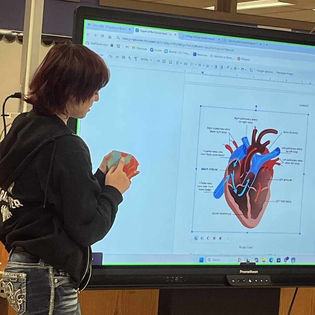 anatomy8