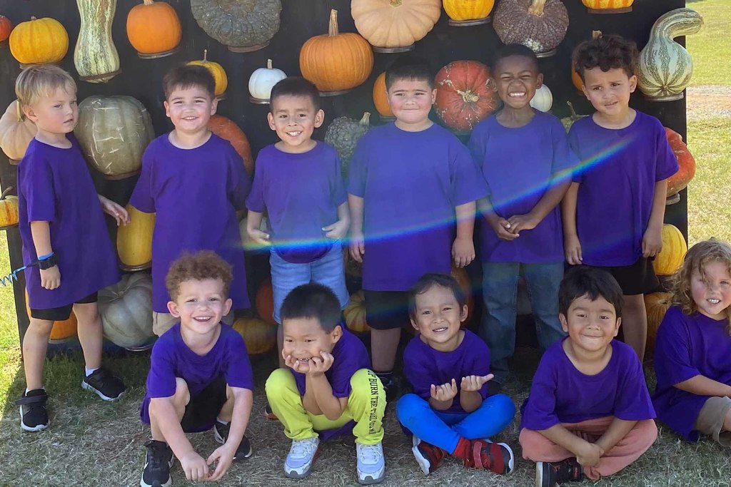pumpkinpatch5