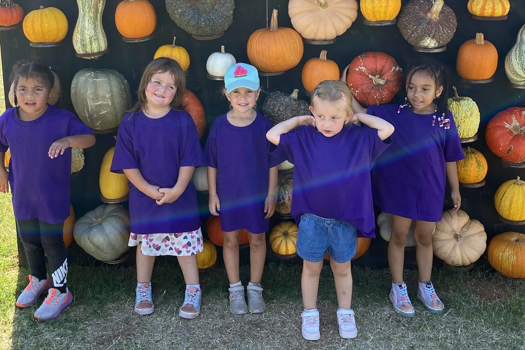 pumpkinpatch3