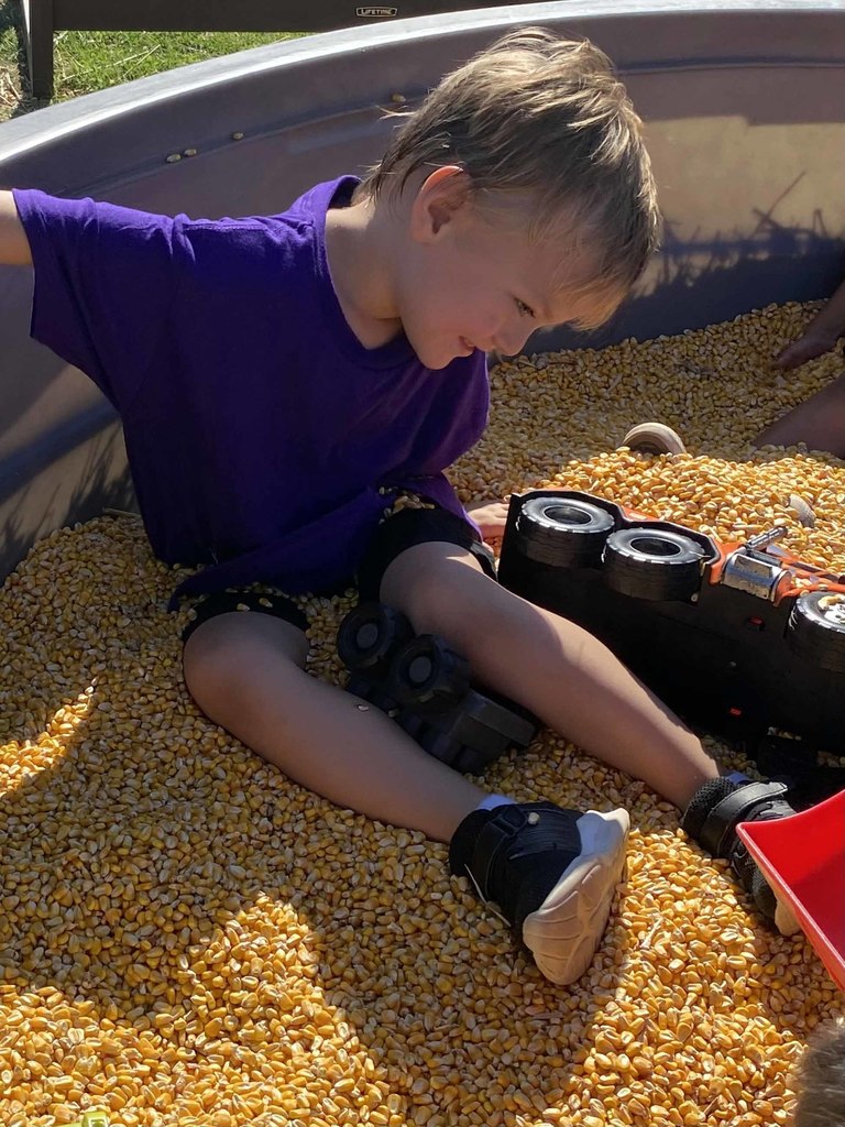 pumpkinpatch4
