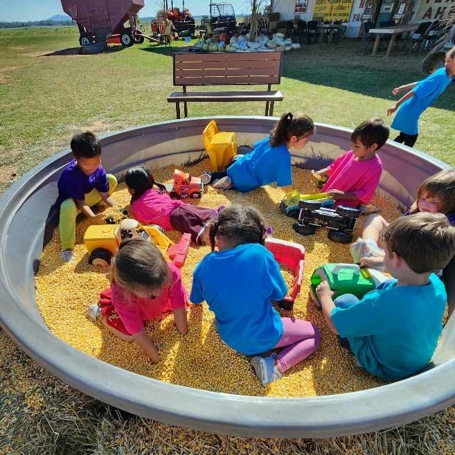 pumpkinpatch10