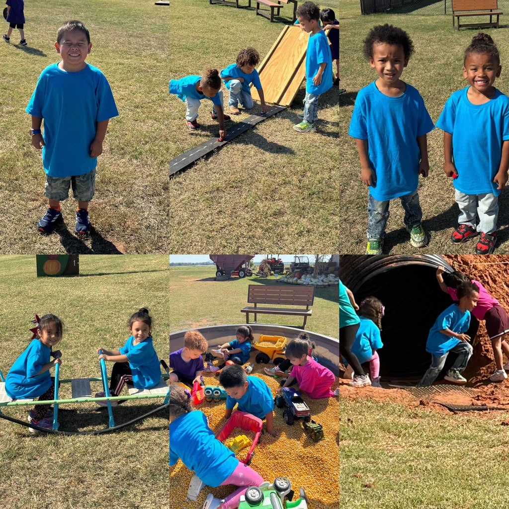 pumpkinpatch8