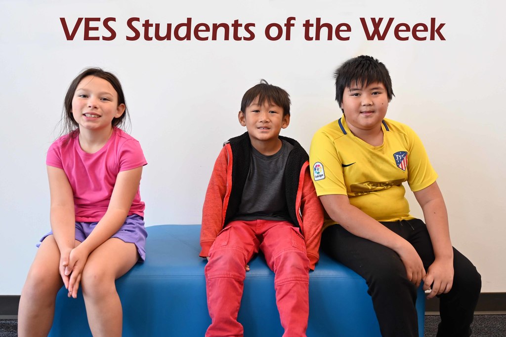 ves sow week8